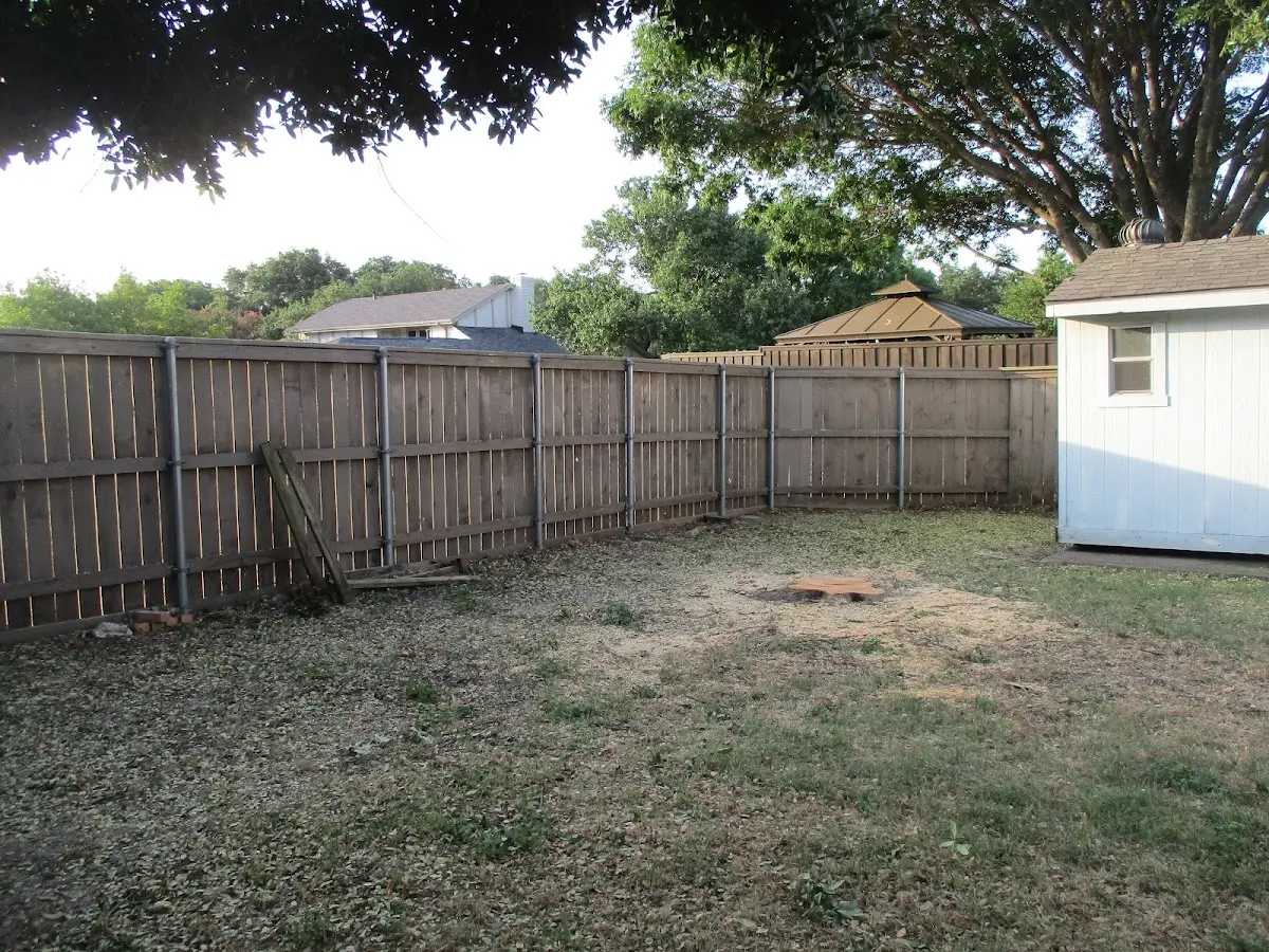 Cleared yard after professional tree removal in New Egypt